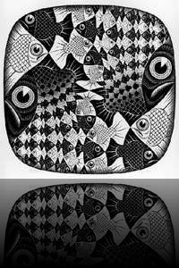 Poissons et écailles (xylogravure - 380x380 - 1959)