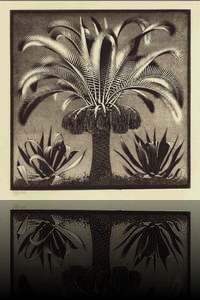Palmier (gravure sur bois 2 couleurs - 397x397 - 1933)